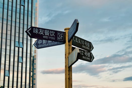 Master Online Poker: A Beginner's Guide to Navigating Popular Variants